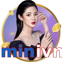 minivn