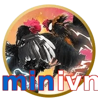 minivn