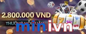 minivn