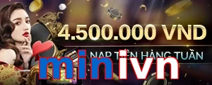 minivn