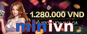 minivn