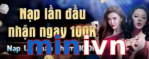 minivn