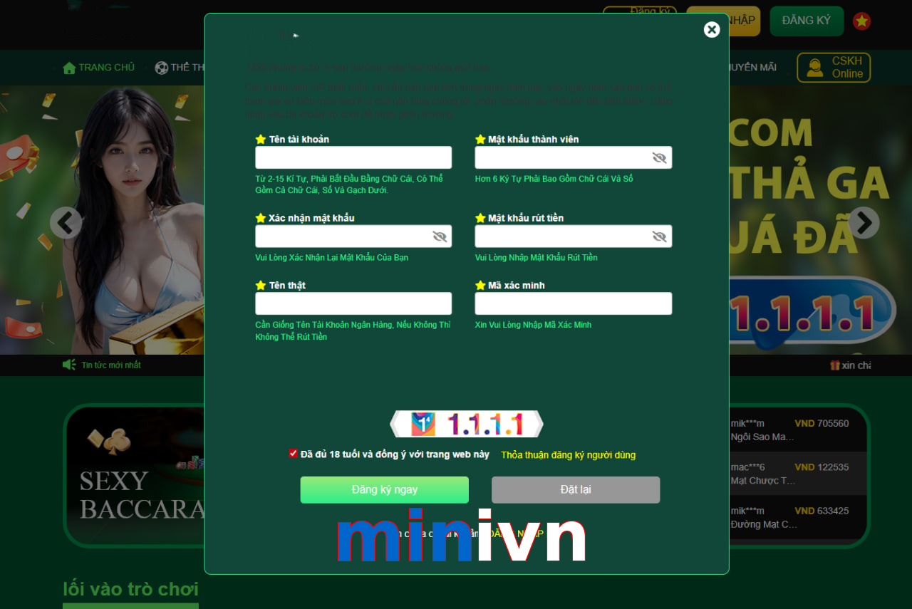 minivn